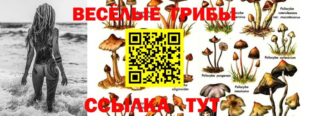 Галлюциногенные грибы Magic Shrooms Каменск-Шахтинский